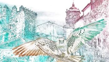 Festival de las Aves Ciudad de Cáceres 2025