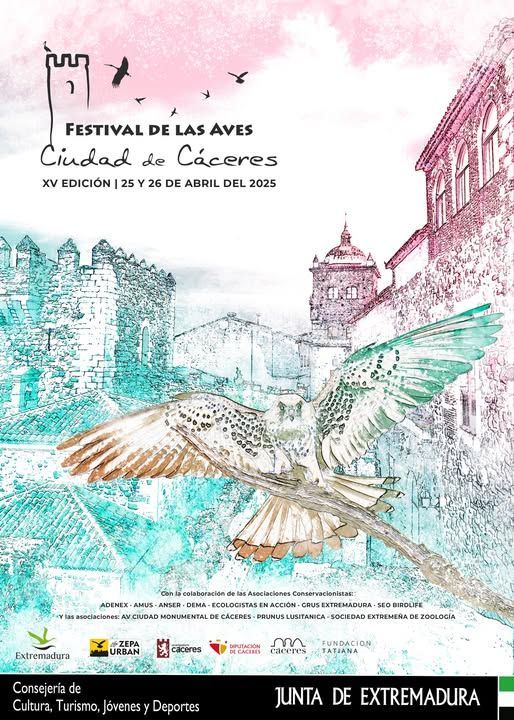 Festival de las Aves Ciudad de Cáceres 2025