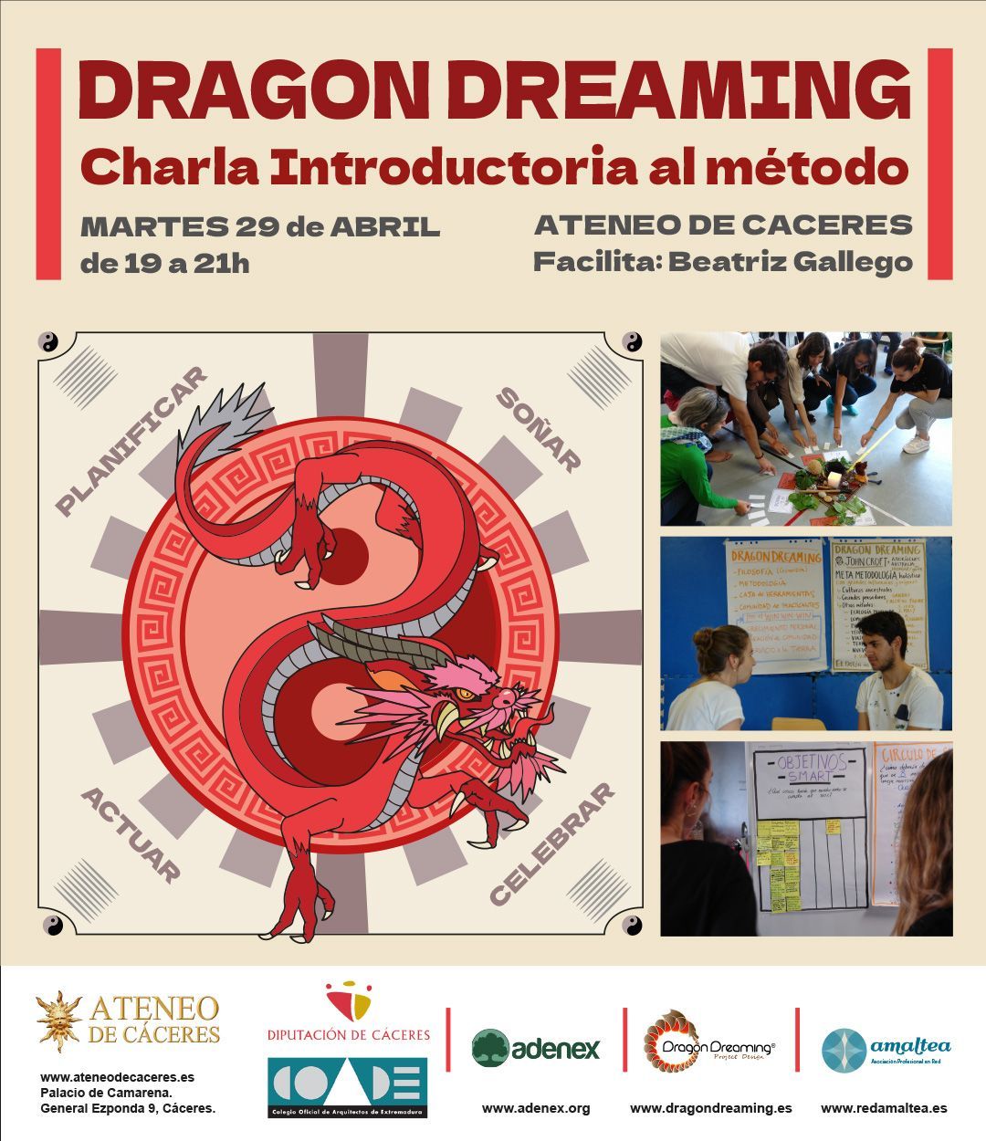 charla-dragon-dreaming-–-adenex.