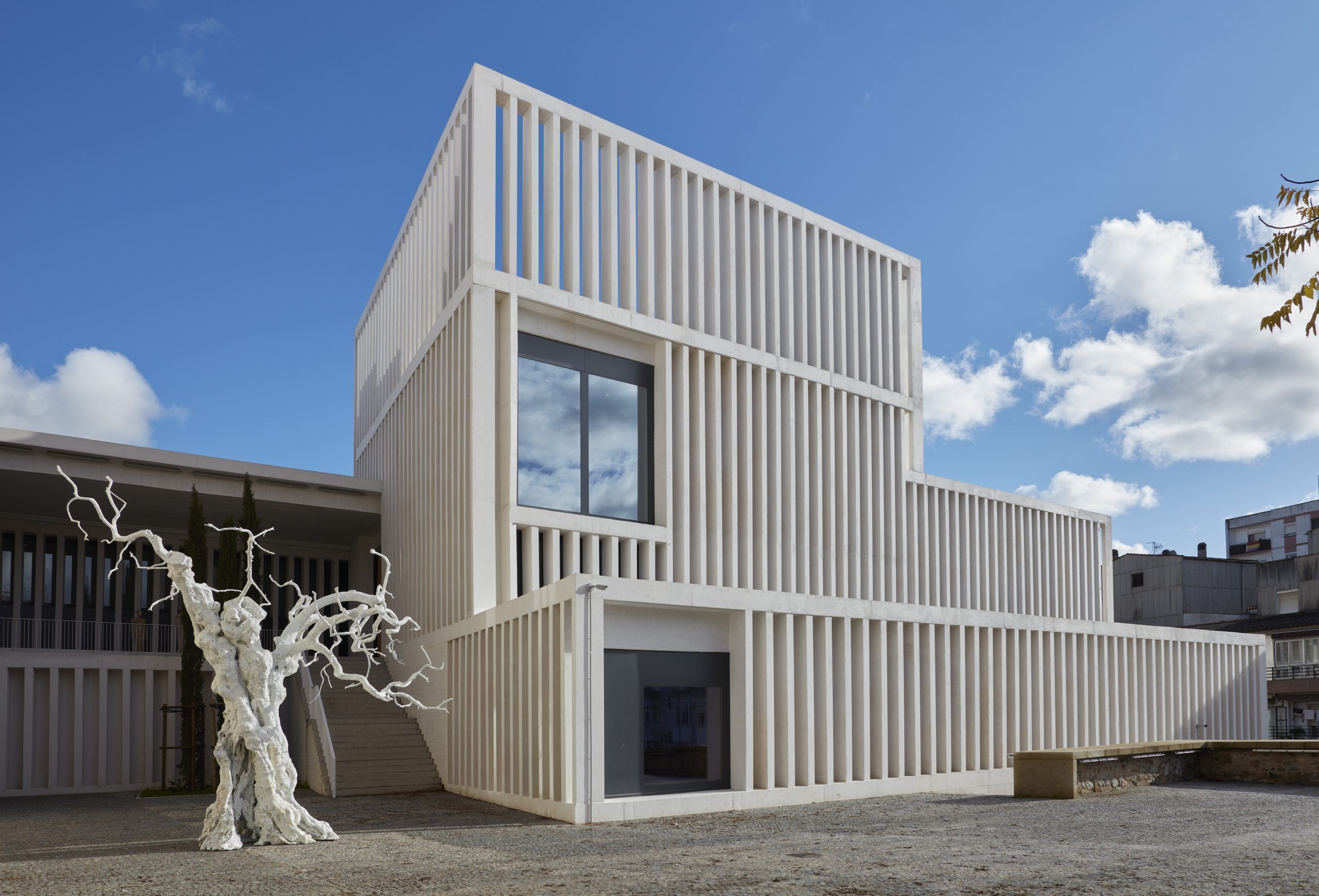 el-museo-helga-de-alvear-aprueba-su-nuevo-consejo-asesor-artistico