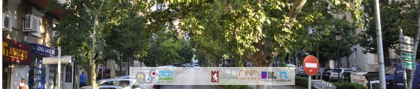primeros-pasos-de-la-transformacion-de-la-avda.-virgen-de-la-montana