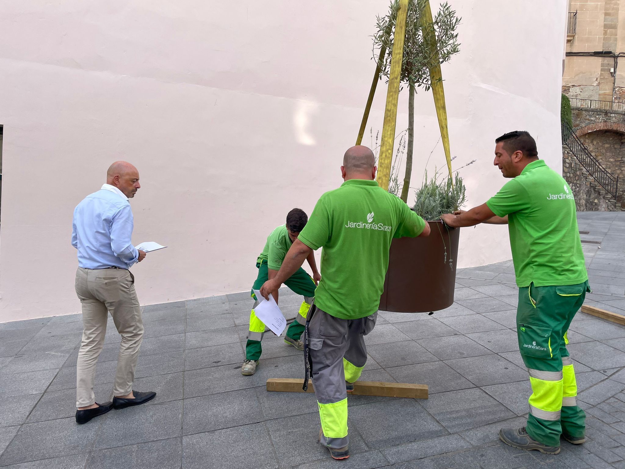 el-ayuntamiento-de-caceres-incorpora-nuevos-maceteros-con-especies-ornamentales-para-embellecer-la-ciudad
