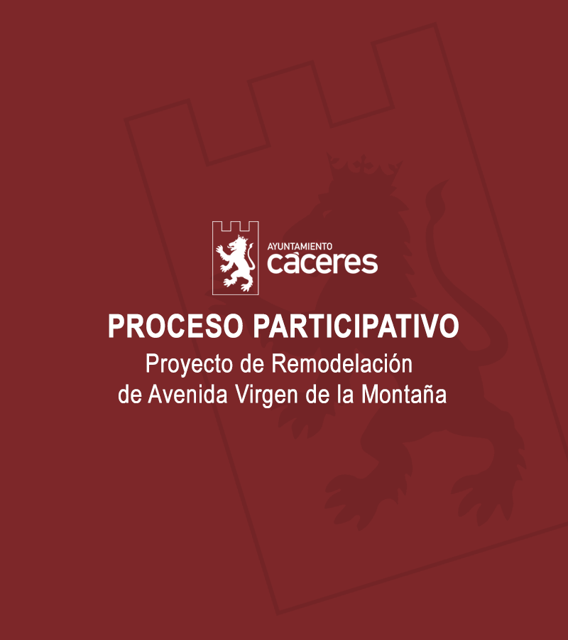 proceso-participativo:-proyecto-de-remodelacion-de-avenida-virgen-de-la-montana