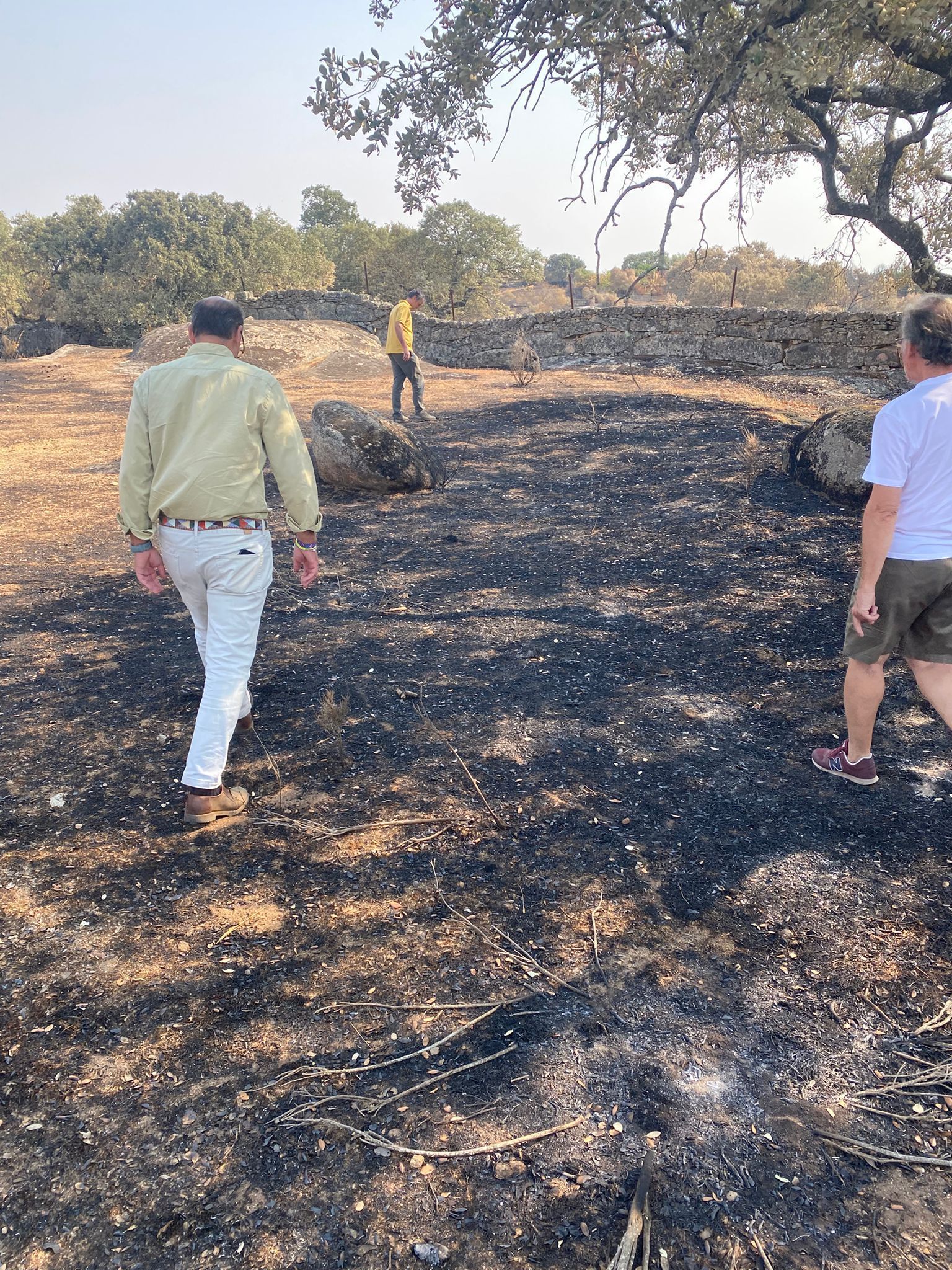 mateos-ofrece-la-ayuda-el-ayuntamiento-de-caceres-a-los-afectados-por-los-incendios-registrados-en-el-termino-municipal-de-caceres