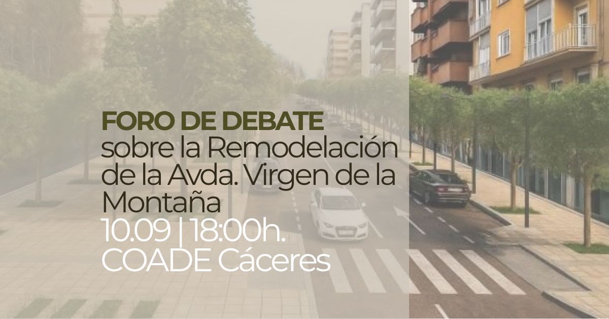 foro-de-debate-ciudadano-sobre-remodelacion-de-la-avenida-virgen-de-la-montana.
