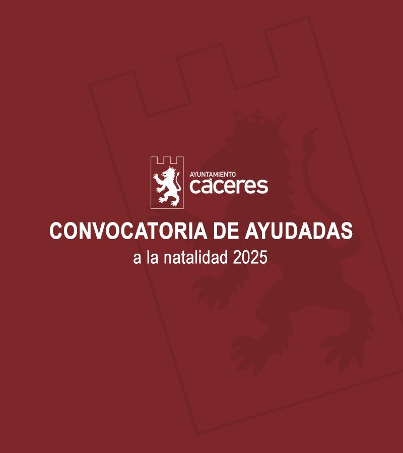 convocatoria-de-ayudas-economicas-a-la-natalidad-2025