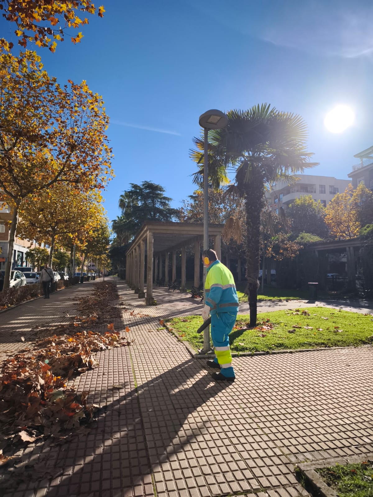 veinticinco-operarios-refuerzan-la-limpieza-de-hojas-en-la-ciudad-durante-la-campana-de-otono