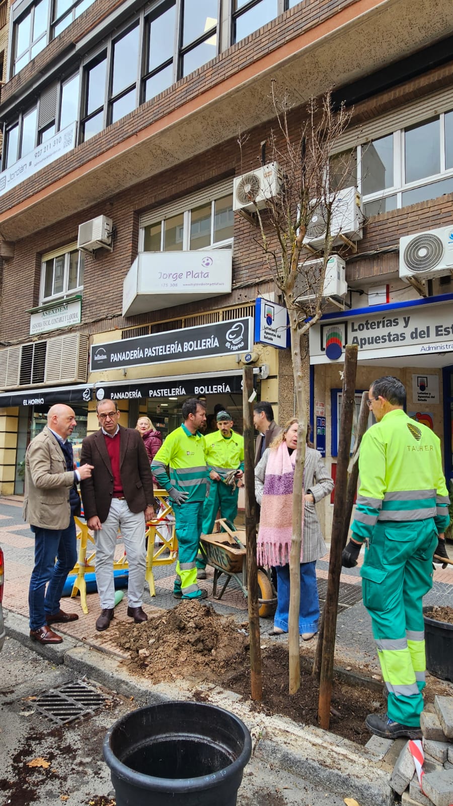 comienza-la-plantacion-de-34-nuevos-arboles-en-la-avenida-de-antonio-hurtado
