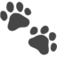  taller:-capturas-para-rescates-de-gatos-comunitarios-y-metodo-cer.
