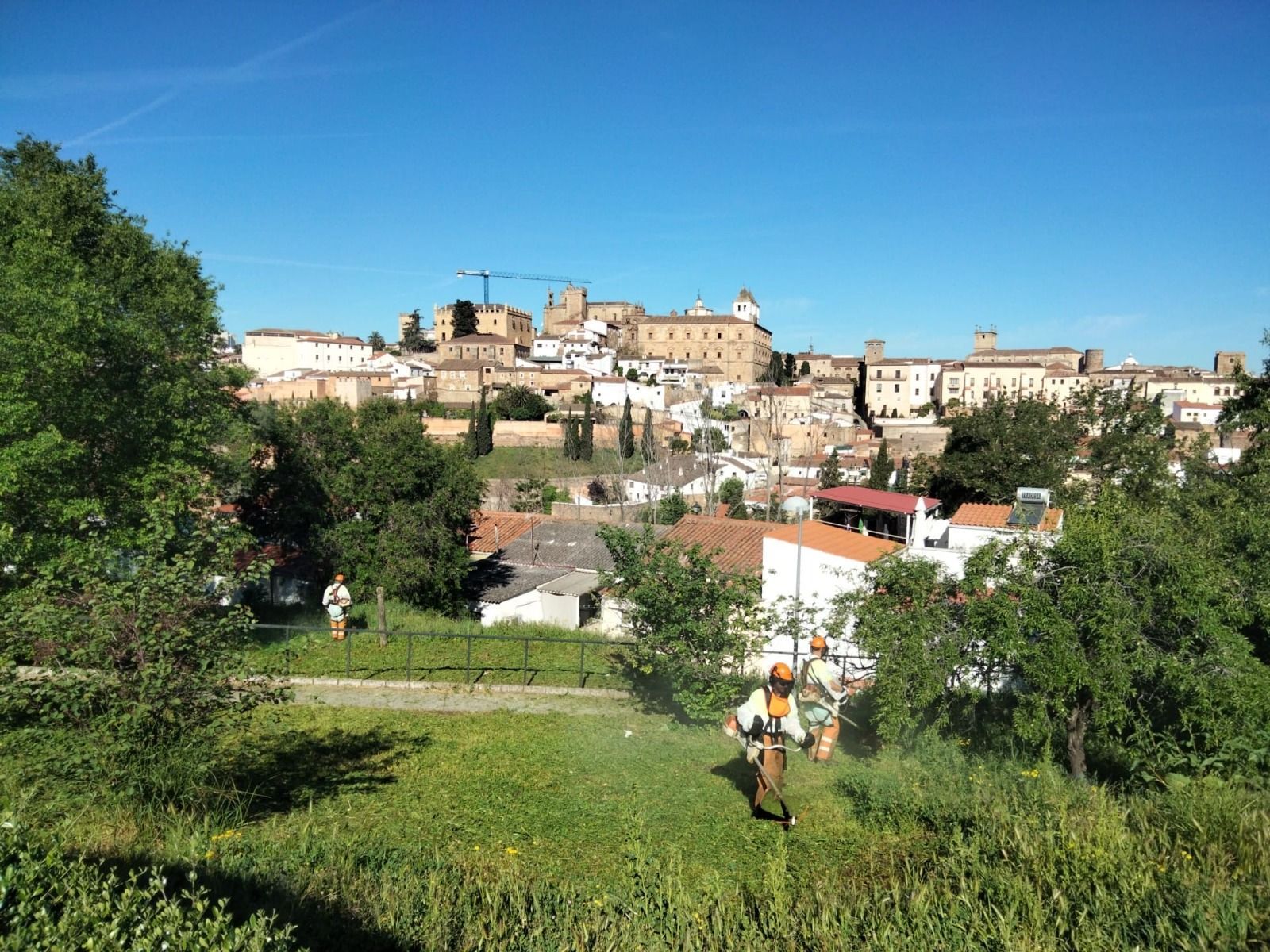el-ayuntamiento-despliega-un-operativo-especial-para-la-bajada-de-la-patrona,-la-virgen-de-la-montana