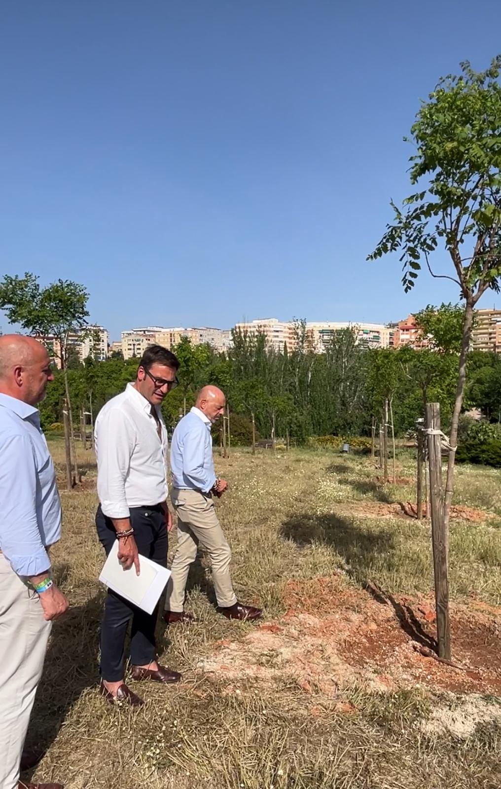 el-ayuntamiento-planta-mas-de-medio-millar-de-arboles-en-lo-que-llevamos-de-ano