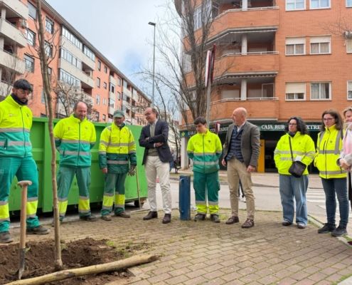el-ayuntamiento-iniciara-una-nueva-campana-de-plantacion-de-arboles-y-arbustos-en-diferentes-zonas-de-la-ciudad