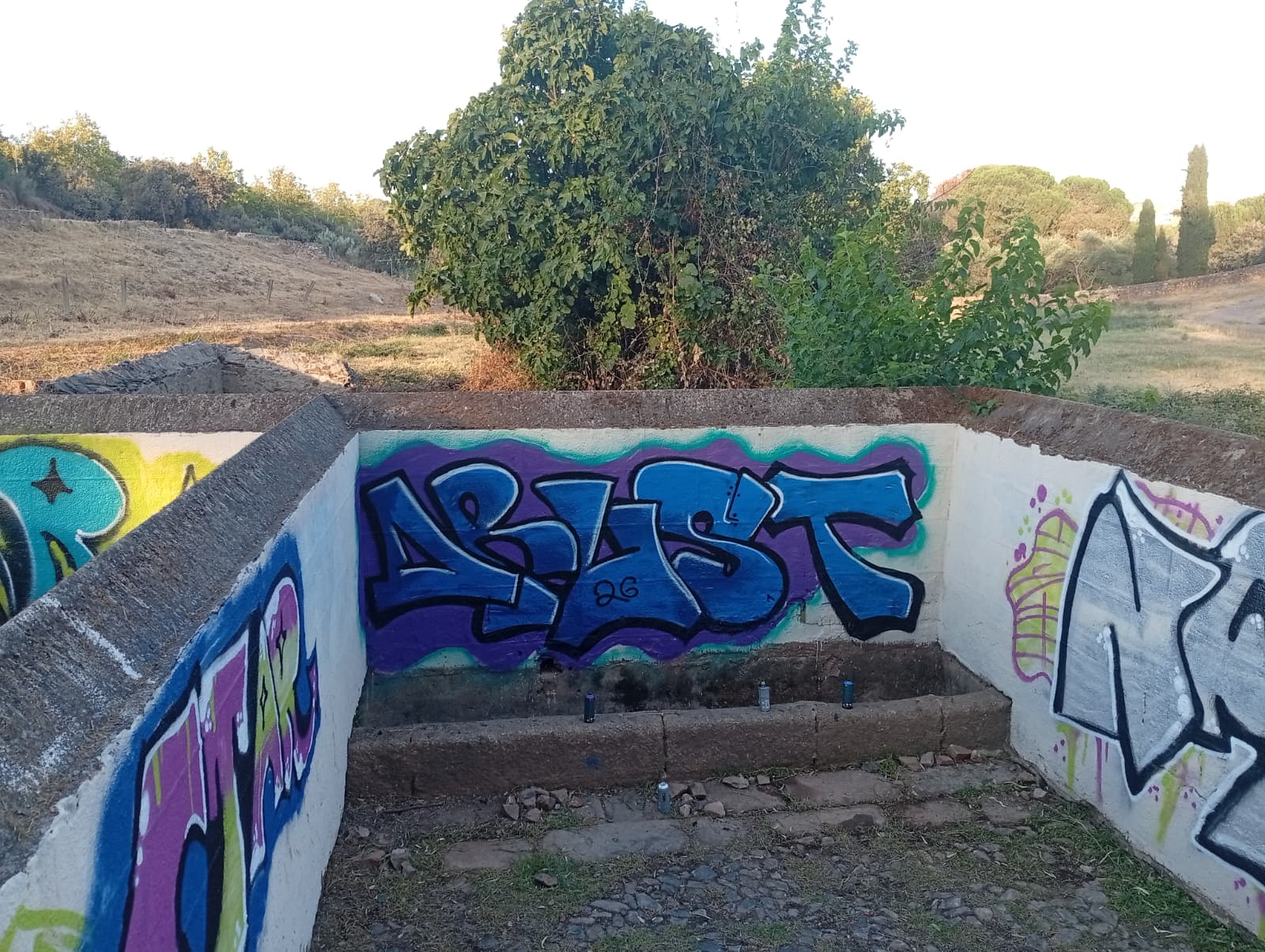 “tolerancia-cero”-con-el-vandalismo:-la-policia-local-identifica-e-intercepta-a-uno-de-los-autores-de-pintadas-en-fuente-hinche