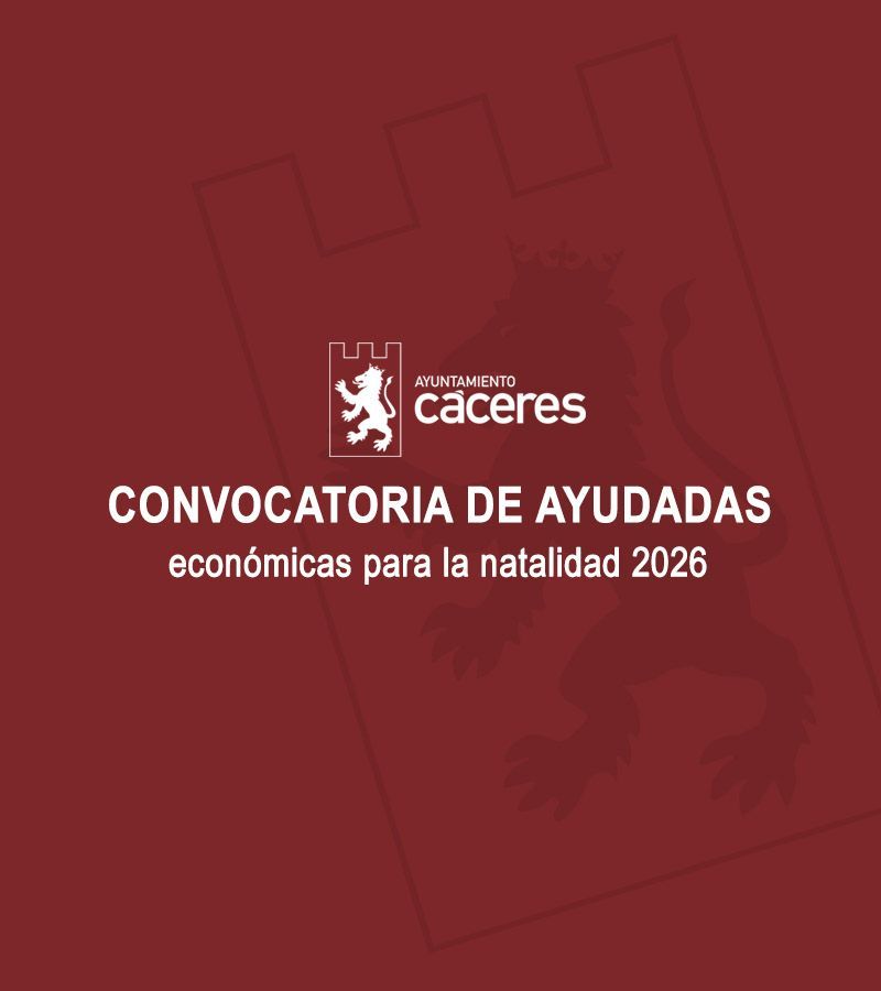 convocatoria-de-ayudas-economicas-a-la-natalidad-2026