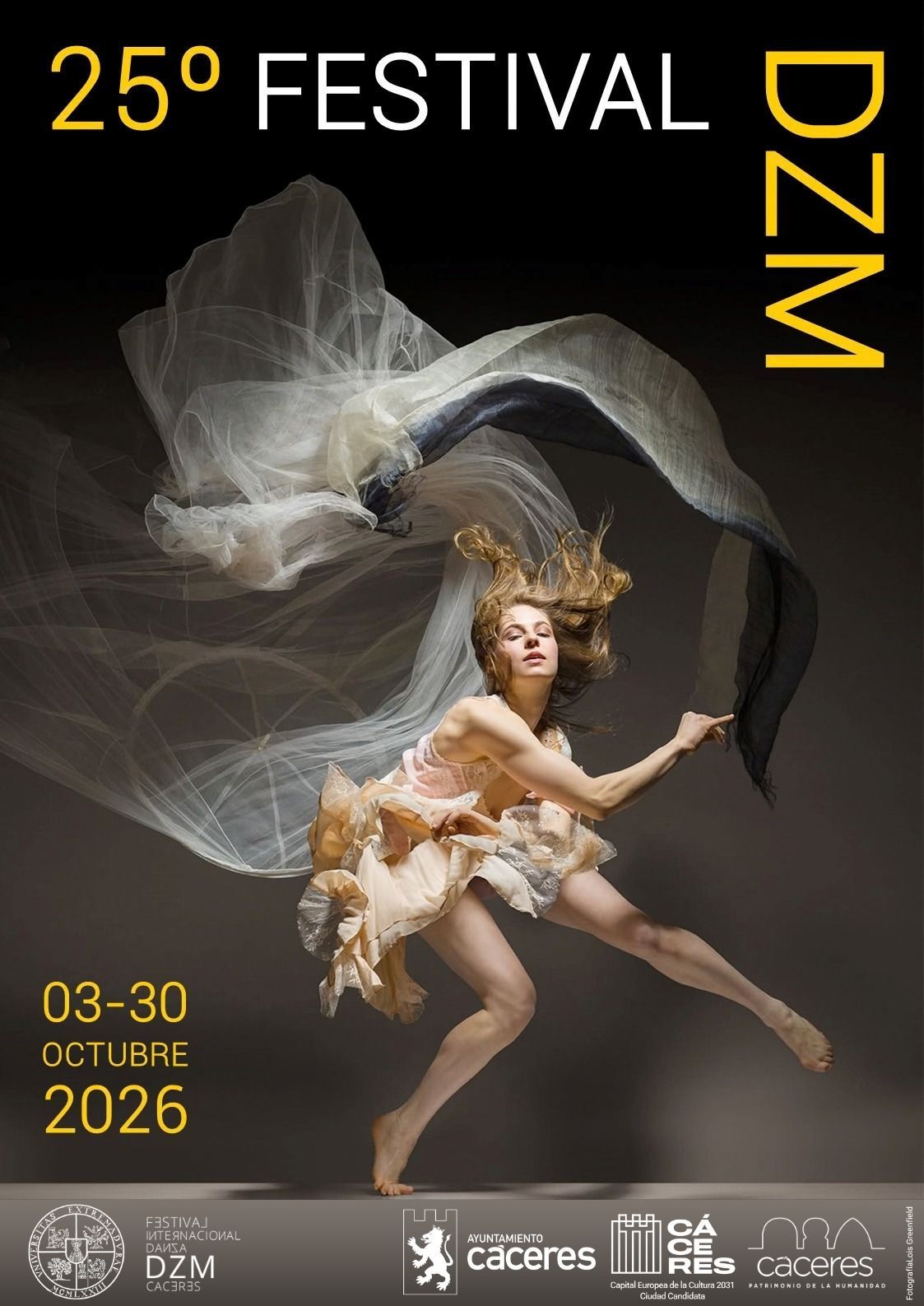 el-ayuntamiento-colabora-con-el-festival-internacional-dzm-2026,-que-celebra-su-25-aniversario